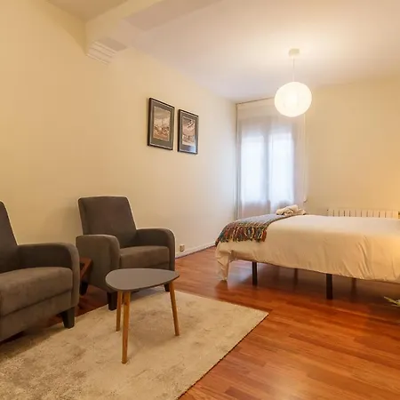 Vivienda Turistica En El Centro Reformada Con Wifi Daire *